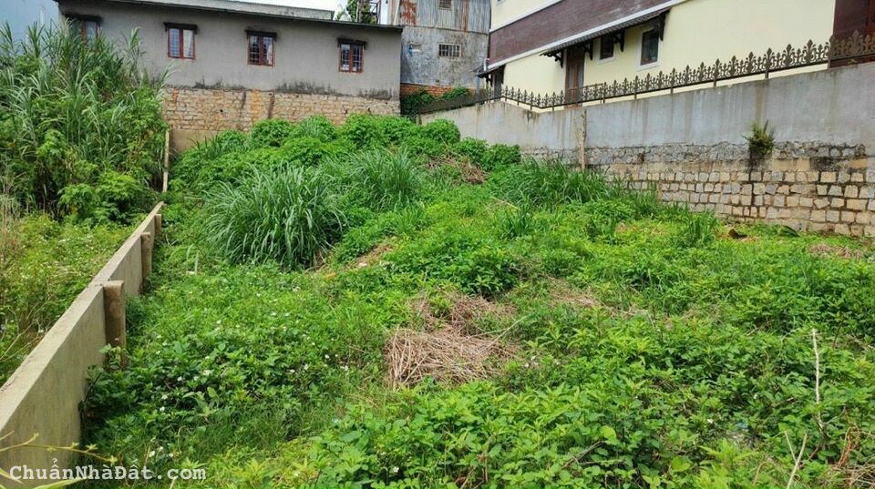 Bán Lô Đất Biệt Lập Tô Hiến Thành Phường 3 Đà Lạt Bán Lô Đất Biệt Lập Tô Hiến Thành Phường 3 Đà Lạt