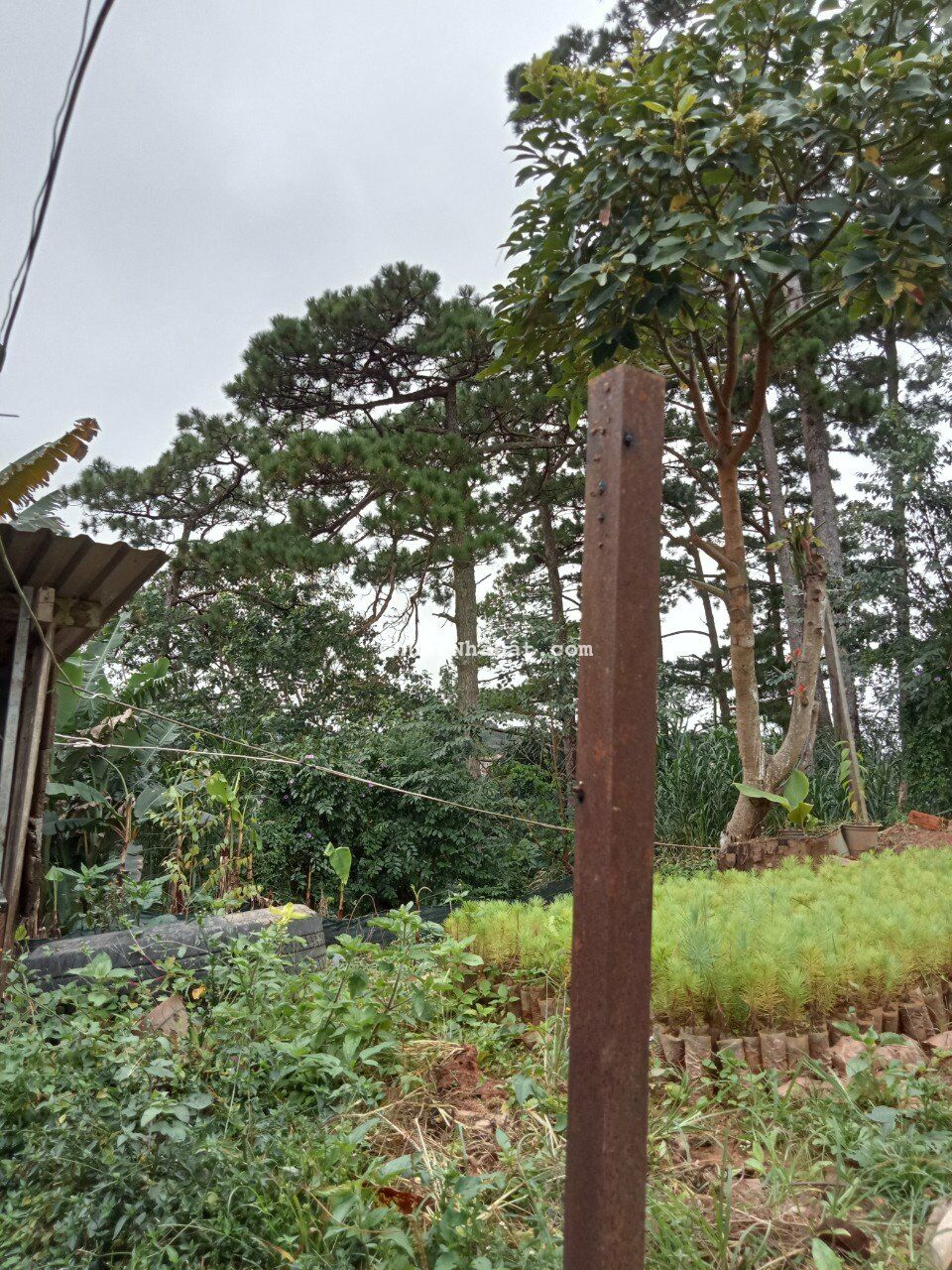 Bán căn nhà  ở khe sanh Phường 10 - Đà Lạt 130 m2 - 9 Tỷ