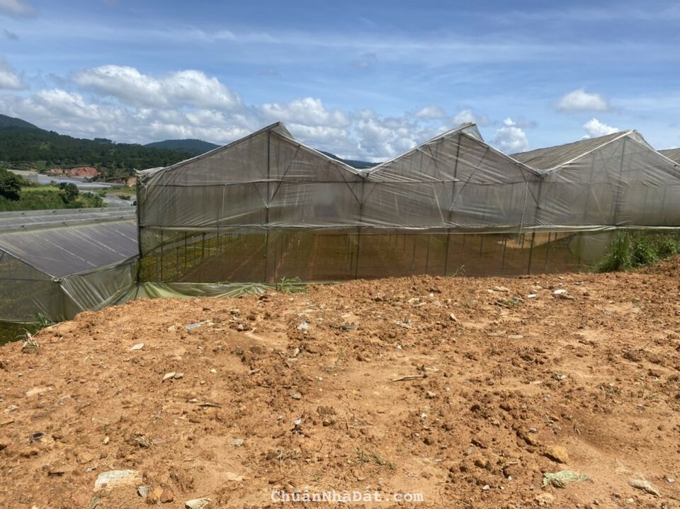 Chủ cần sang nhượng lô đất cao thắng đường oto 7m view đẹp