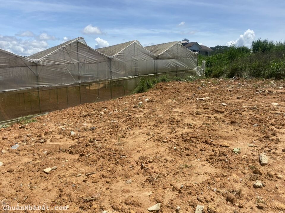 Chủ cần sang nhượng lô đất cao thắng đường oto 7m view đẹp