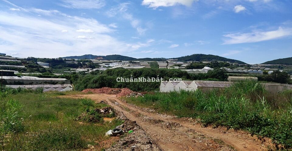 Chủ cần sang nhượng lô đất cao thắng đường oto 7m view đẹp