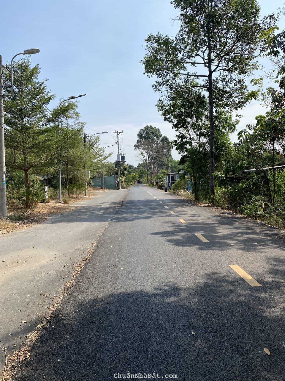 ĐẤT MẶT TIỀN ĐƯỜNG LÝ THỊ CHỪNG