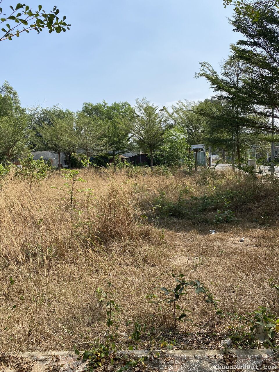 ĐẤT MẶT TIỀN ĐƯỜNG LÝ THỊ CHỪNG