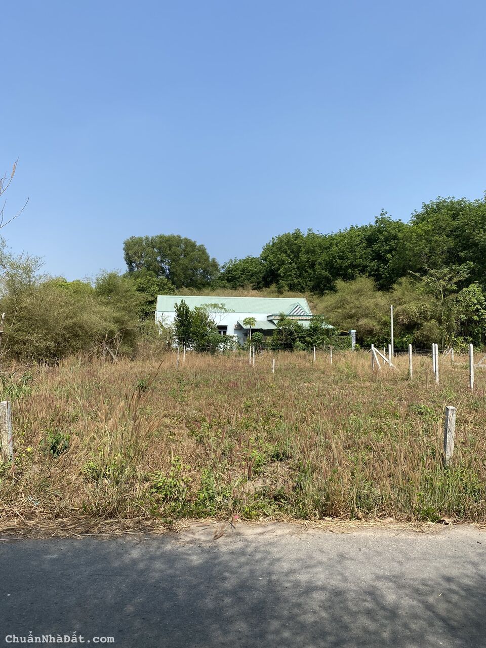 KẸT TIỀN BÁN GẤP LÔ ĐẤT FULL THỔ CƯ XÃ TÂN AN HỘI