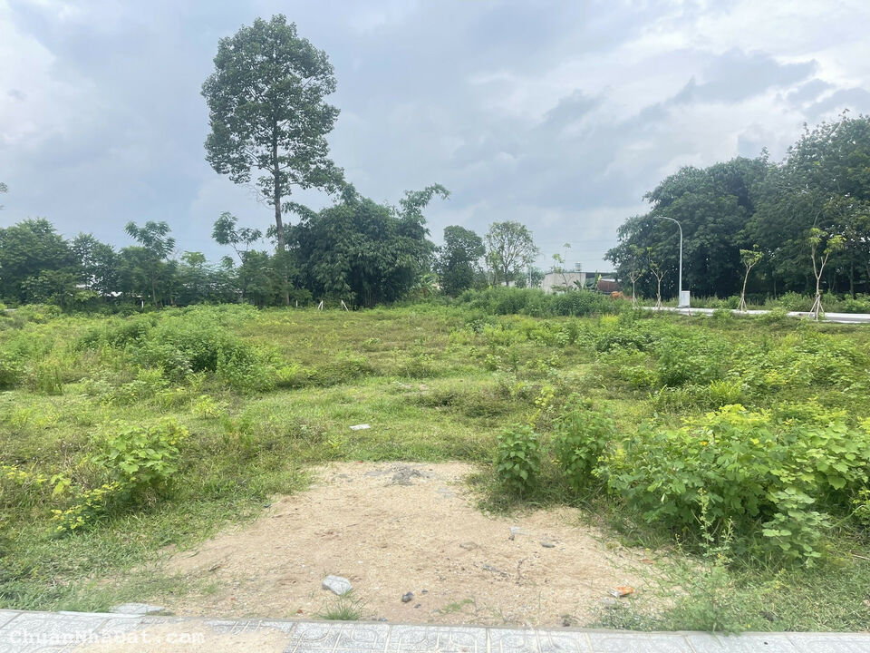 HẠ GIÁ BÁN NHANH MỘT LÔ FULL THỔ CƯ XÃ TÂN AN HỘI HẠ GIÁ BÁN NHANH MỘT LÔ FULL THỔ CƯ XÃ TÂN AN HỘI