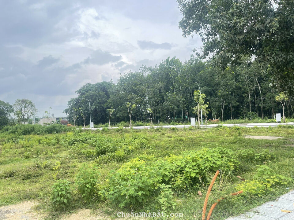 KẸT TIỀN BÁN GẤP LÔ ĐẤT Ở TÂN AN HỘI