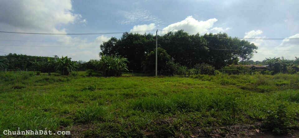 Bán bất động sản ( giá rẻ nhất )