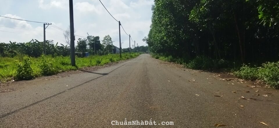 Bán bất động sản ( giá rẻ nhất )