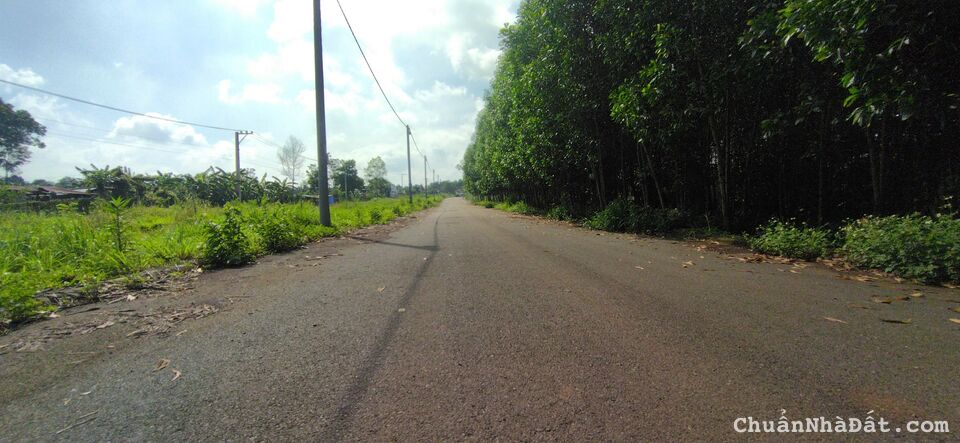 Bán bất động sản ( giá rẻ nhất )