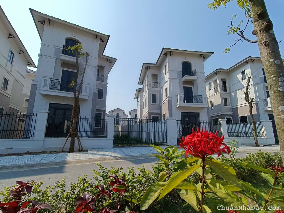 Ra hàng quỹ căn vip hàng Limited dự án Centa Riverpark