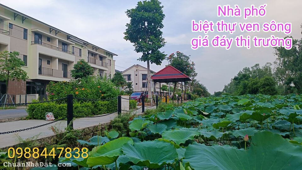 Bán đất tặng biệt thự đẹp ven hồ sen rất chill chill. Bán đất tặng biệt thự đẹp ven hồ sen rất chill chill.