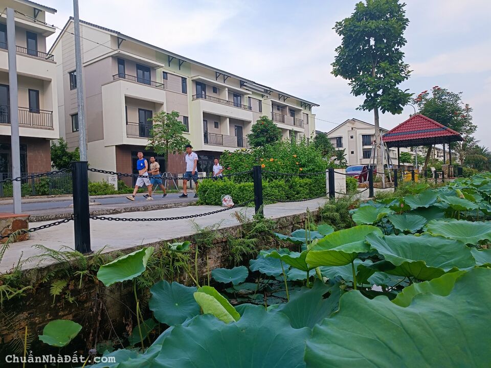 Bán nhà phố biệt thự ven sông sen Centa City Từ Sơn.