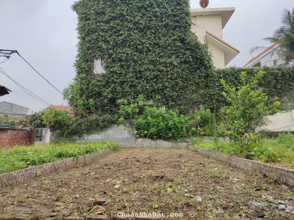 Không sử dụng cần bán 58m2 thôn Đồng, Nguyên Khê, Đông Anh, gần công viên Phần Mềm. Không sử dụng cần bán 58m2 thôn Đồng, Nguyên Khê, Đông Anh, gần công viên Phần Mềm.