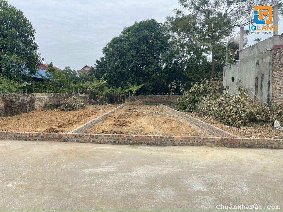 Công ty bán 8 lô phân lô tại Bắc Thượng Quang Tiến Sóc Sơn Hà Nội Công ty bán 8 lô phân lô tại Bắc Thượng Quang Tiến Sóc Sơn Hà Nội