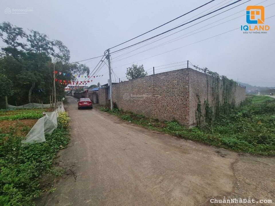 Chính chủ cần bán 633m2 Liên Xuân Nam Sơn Sóc Sơn Hà Nội đường xe ben đỗ cửa