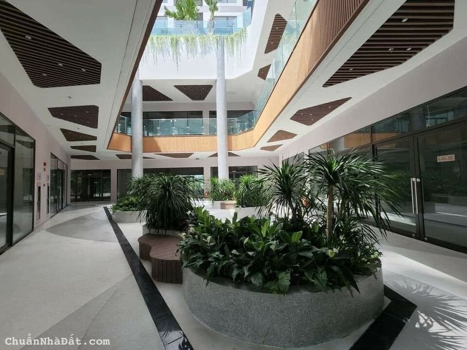 Bán nhanh căn hộ 1 PN, 1 VS 34m2 tòa S - Premium, khu Sky Oasis giá rẻ của Ecopark LH 0967949918