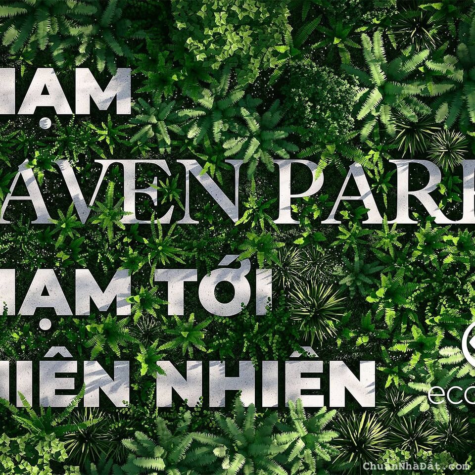 Bán Penhouse rộng 181m2 có bể bơi riêng tại khu đô thị Ecopark, LH 0967949918