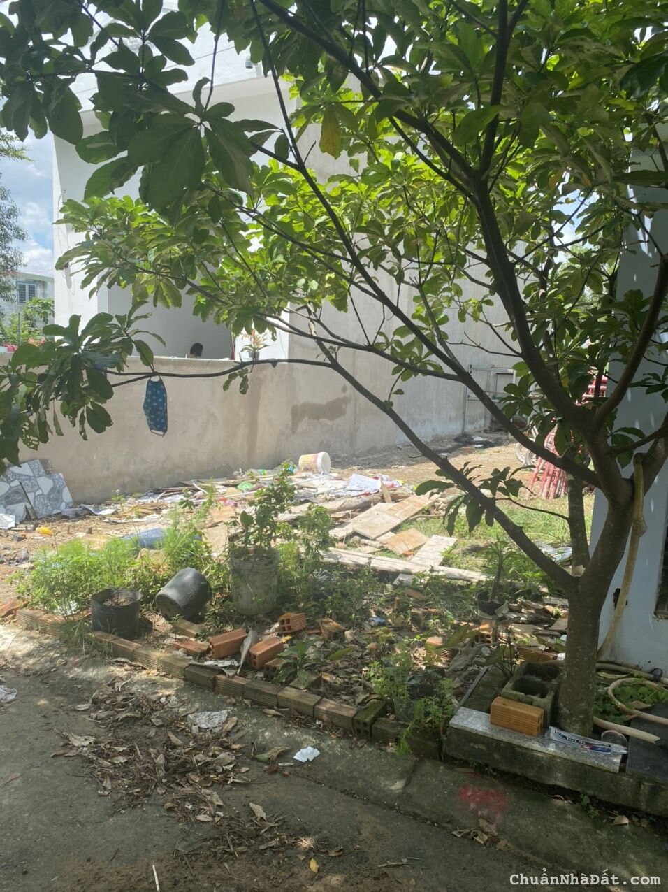 ĐẤT CHÍNH CHỦ THỔ CƯ 100% ĐẤT ODT - KHÔNG ĐÚNG CHỦ  KHÔNG LÀM VIỆC