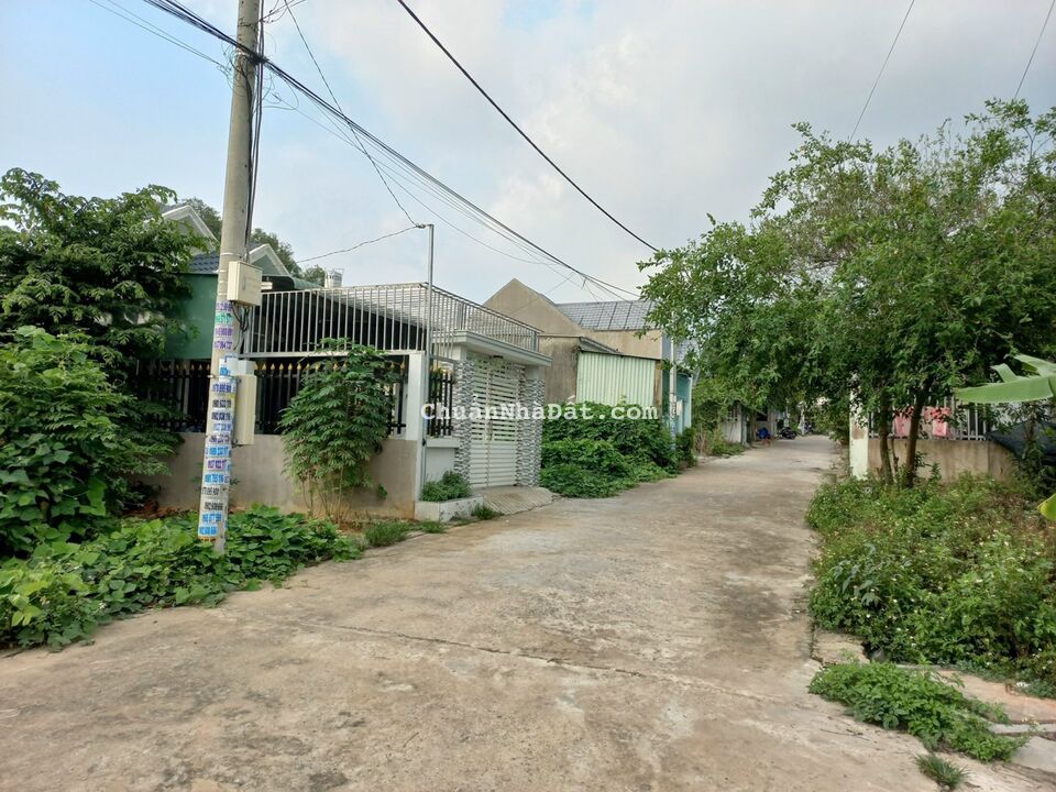 ĐẤT CHÍNH CHỦ THỔ CƯ 100% ĐẤT ODT - KHÔNG ĐÚNG CHỦ  KHÔNG LÀM VIỆC