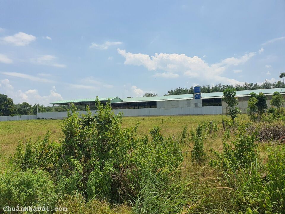 Cần vốn mở spa bán gấp 3 lô đất gần hồ Dầu Tiếng giá chỉ 880tr.