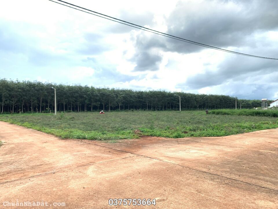 Pháp lý chuẩn sổ đỏ riêng từng nền, KDC Phú Lộc là mảnh đất vàng cho những nhà đầu tư.