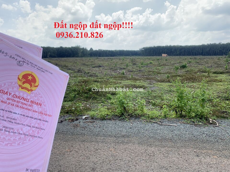 NGỘP THỞ MIẾNG ĐẤT ĐẸP 27M NGANG MT ĐƯỜNG NHỰA SHR, SÁT BÊN KCN. CÓ 1 KHÔNG 2 GIÁ 810TR/SỔ