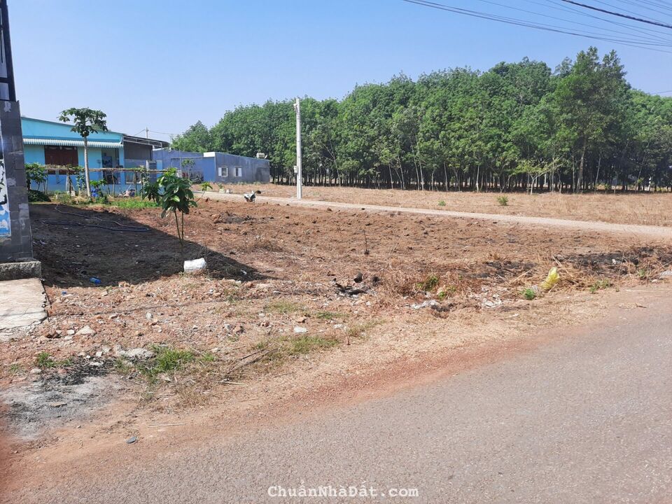 BÁN GẤP 1062M2 TC 200M VỊ TRÍ ĐẸP GẦN CHỢ TRƯỜNG,KCN LỚN,ĐẦU TƯ TIỀM NĂNG GÍA 480 TRIỆU 