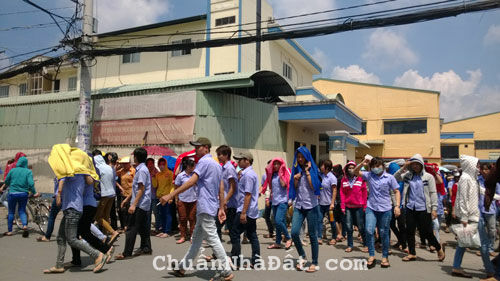 BÁN 50x59= 3.245M2 ĐẤT,CÓ T.CƯ ĐỐI DIỆN KCN BECAMEX, CHỢ.PHÙ HỢP XÂY Ở,ĐẦU TƯ GIÁ 510TRIỆU