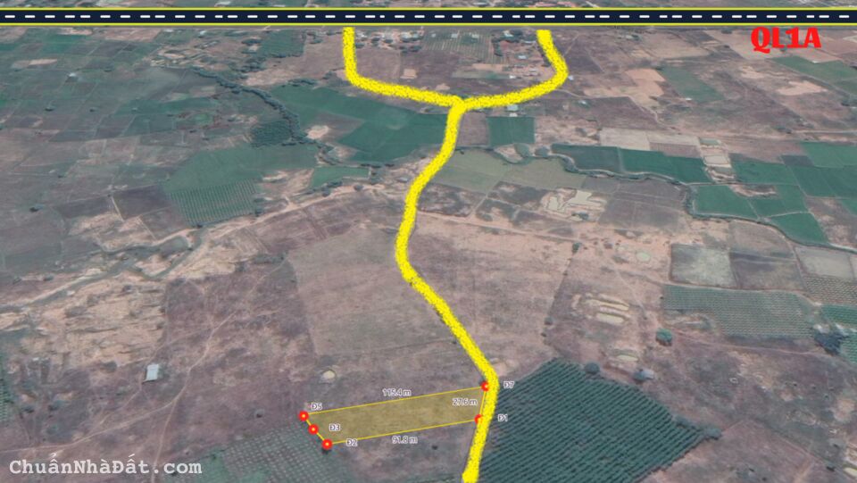 đất hồng liêm trồng sẵn cây bạch đàn. shr có đường đi. sang tên ngay