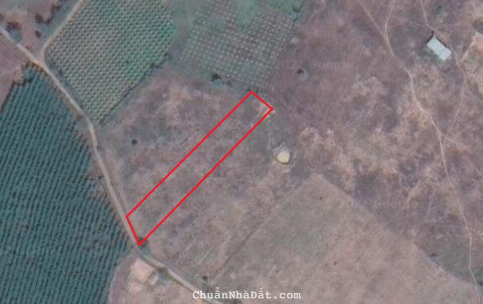 Đất vườn chỉ với 300tr. Shr có đường hiện hữu. nằm ngay dân cư canh tác hiện hữu