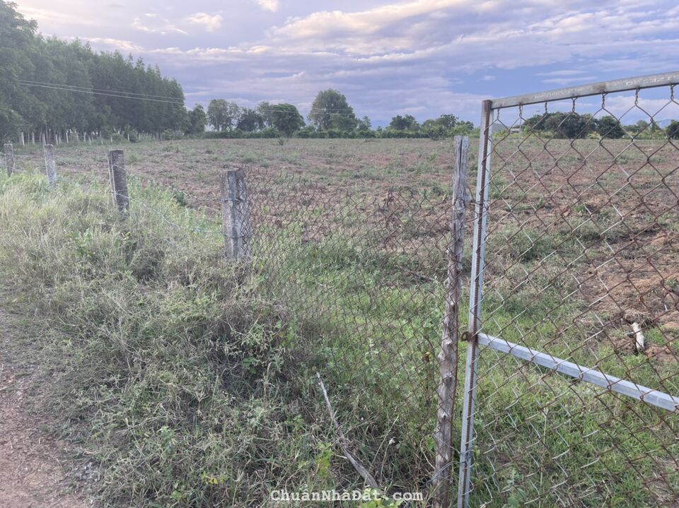 Đất vườn chỉ với 300tr. Shr có đường hiện hữu. nằm ngay dân cư canh tác hiện hữu