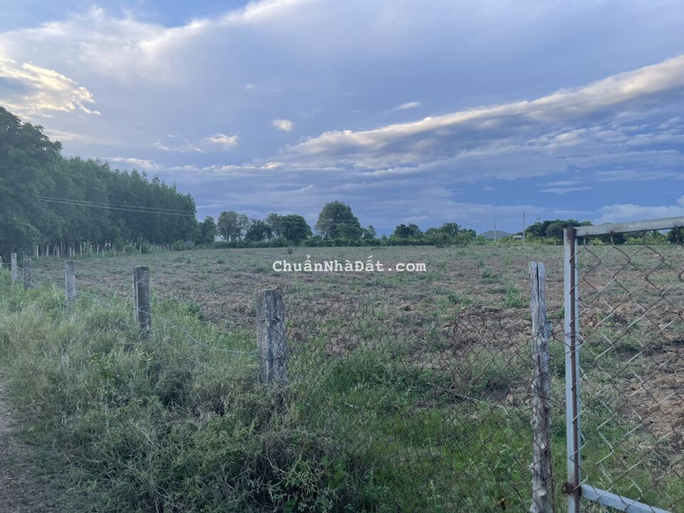 Chỉ với 310tr sở hữu ngay 1sào2 đất Hồng Liêm -- Nằm trong khu vực dân cư canh tác hiện hữu