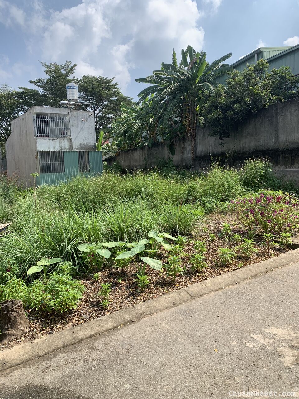 Kẹt tiền bán lô đất kế bên Khu đô thị Thịnh Gia Kẹt tiền bán lô đất kế bên Khu đô thị Thịnh Gia