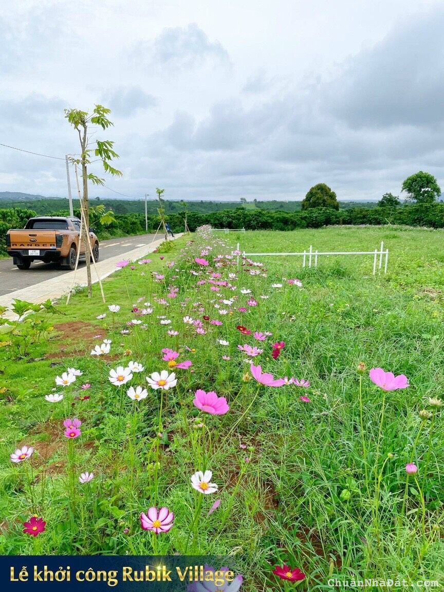 Đất nghỉ dưỡng bảo lộc chỉ 1.24 tỷ/ nền sổ sẵn sang tên trong ngày/CK cao: