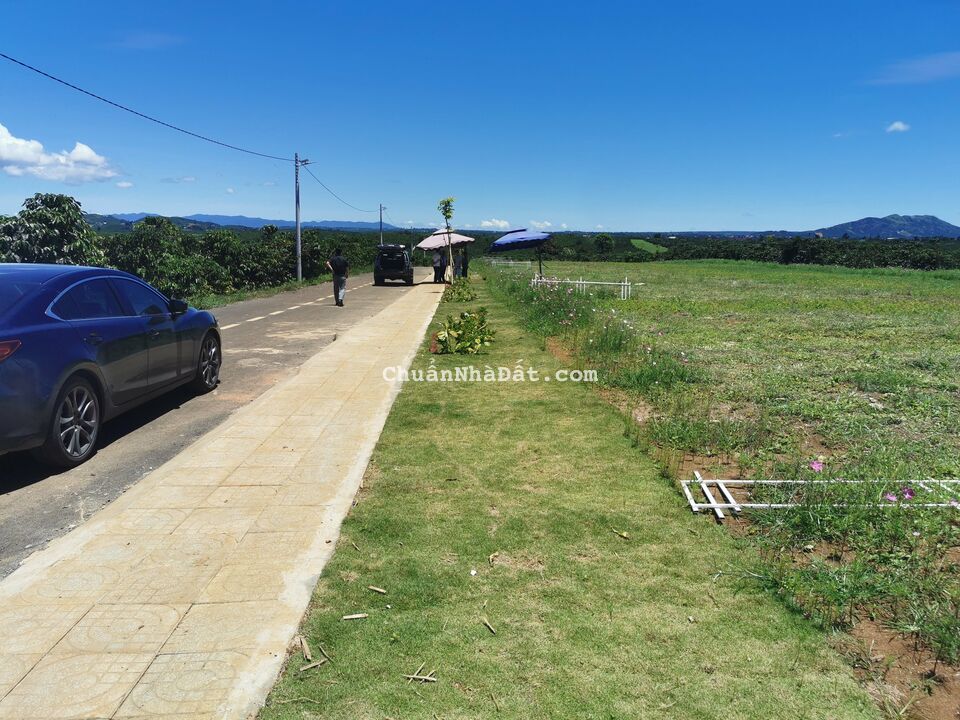 Chỉ Với 700 Triệu Sở Hữu Ngay Đất Biệt Thự View Đồi Săn Mây Bảo Lộc Chỉ Với 700 Triệu Sở Hữu Ngay Đất Biệt Thự View Đồi Săn Mây Bảo Lộc