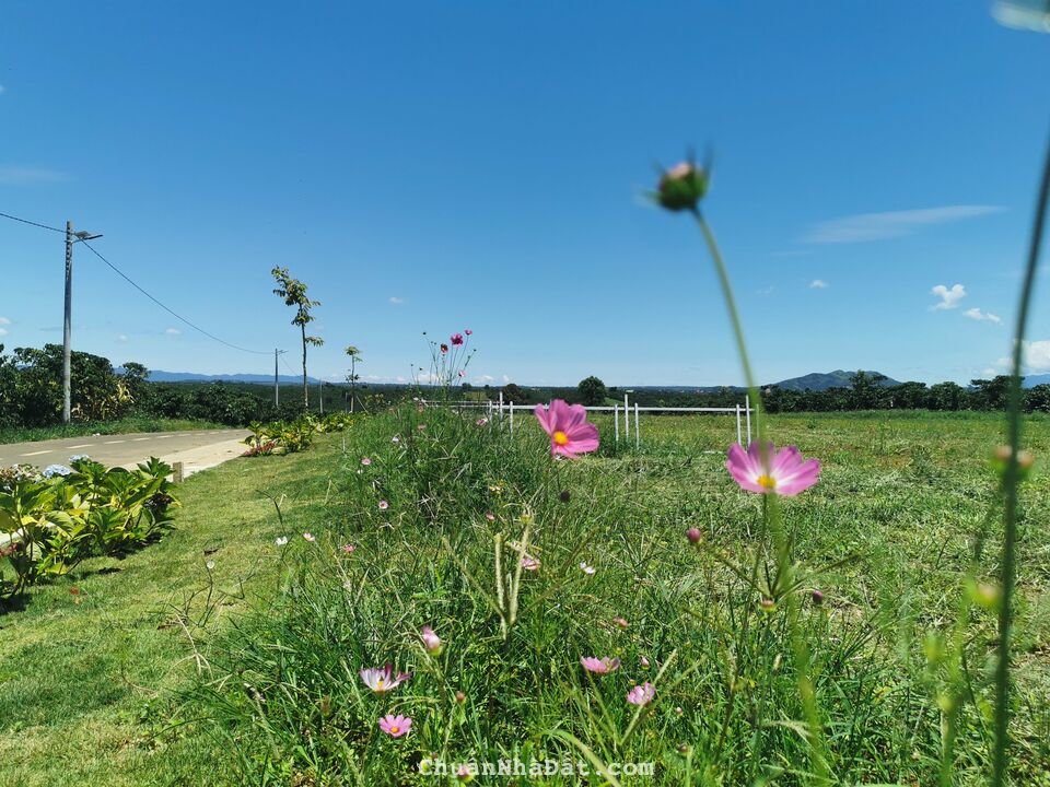 Tài chính 1 Tỷ chốt ngay lô đất mặt tiền đường nhà nước Tp. Bảo Lộc 