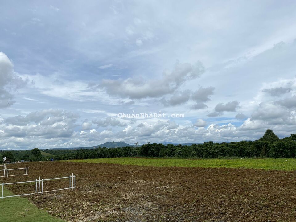 Còn 2 lô liền kề đất biệt thự mặt tiền đường nhà nước Tp. Bảo Lộc