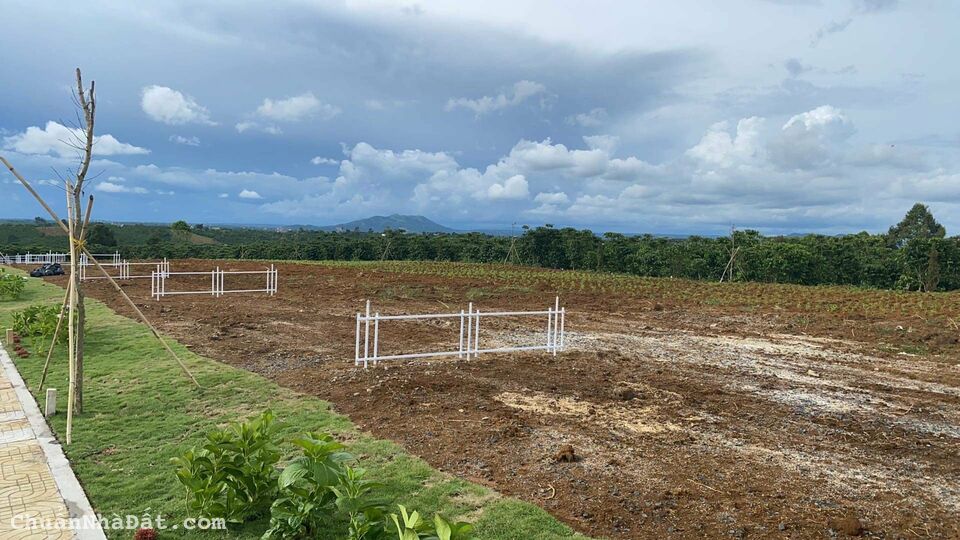 Chỉ Với 700 Triệu Sở Hữu Ngay Đất Biệt Thự View Đồi Săn Mây Bảo Lộc Chỉ Với 700 Triệu Sở Hữu Ngay Đất Biệt Thự View Đồi Săn Mây Bảo Lộc