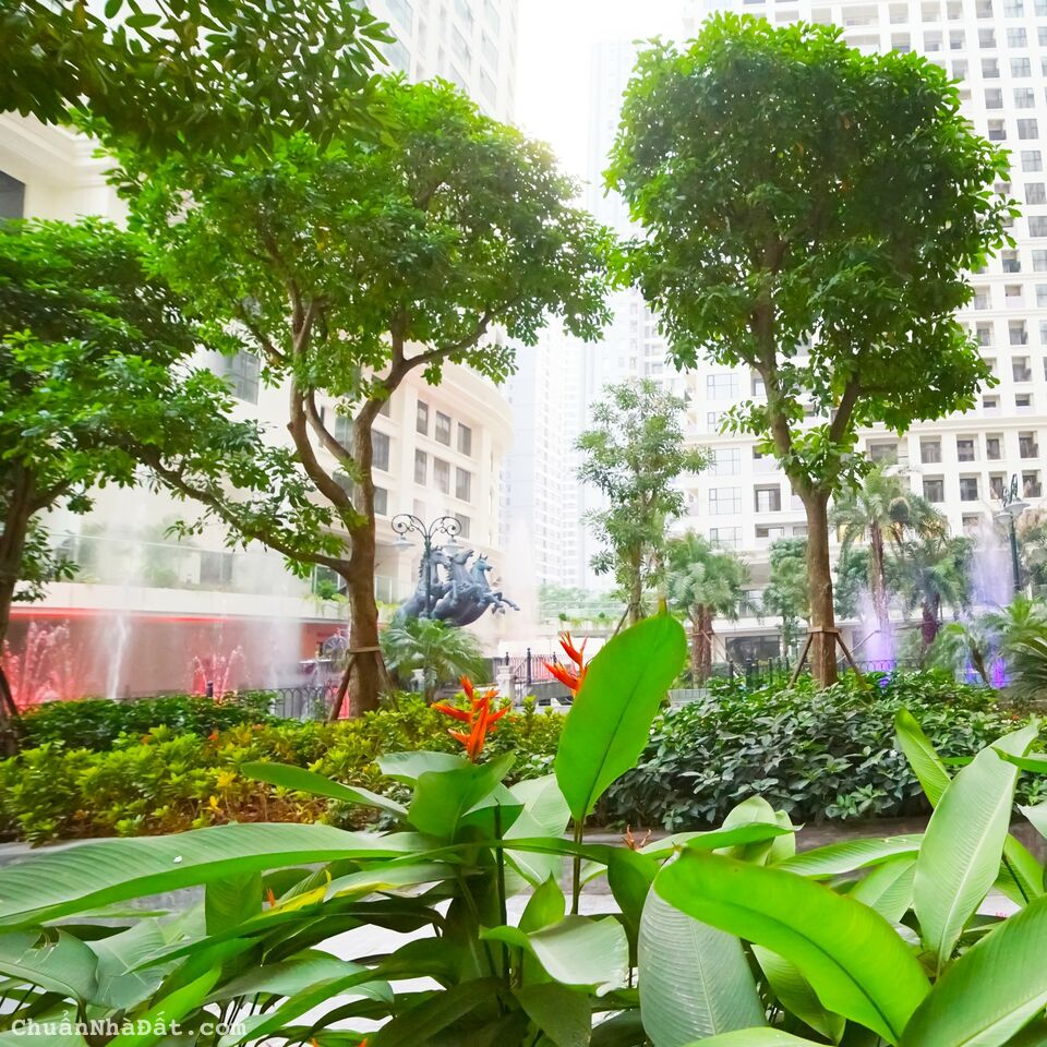 ❗Cơ Hội Cuối Cùng Sở Hữu Chung Cư Cạnh Times City 3PN+1, Nhận Nhà Ở Ngay – Sổ Đỏ Trao Tay