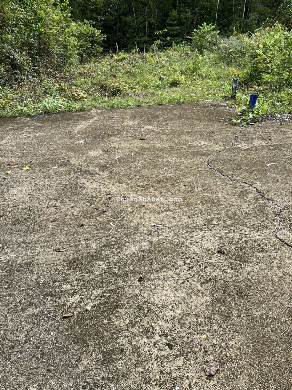 Chính Chủ Gửi Bán Nền Gần Trung Tâm TP Phú Quốc Chính Chủ Gửi Bán Nền Gần Trung Tâm TP Phú Quốc