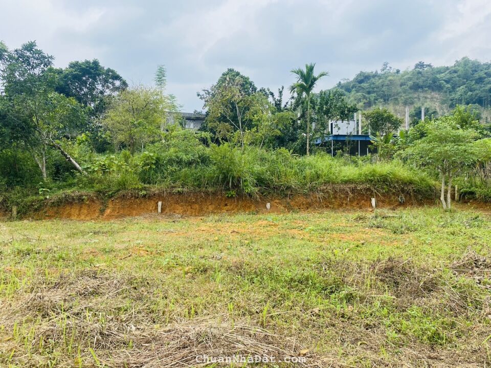 Bán gấp lô đất Dt 1350m2 có 200m2 TC sở hữu view triệu đô giá chỉ 1,x tỷ cực rẻ