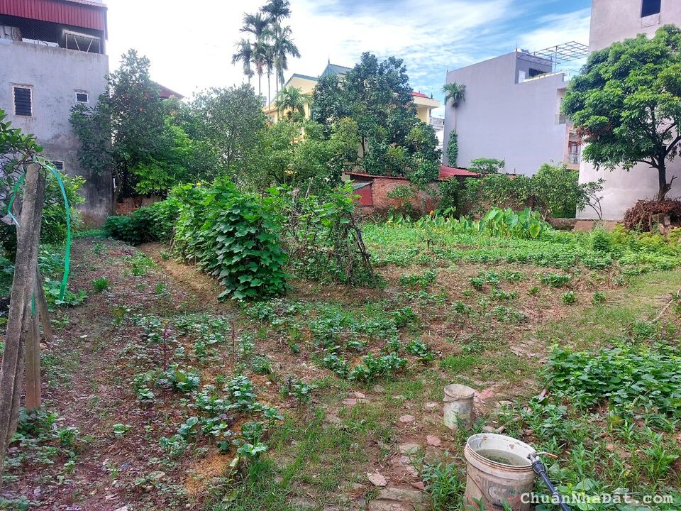 Bán đất Vĩnh Thanh, Vĩnh Ngọc 625m, MT 21m Gía Đầu tư 47tr/m2.