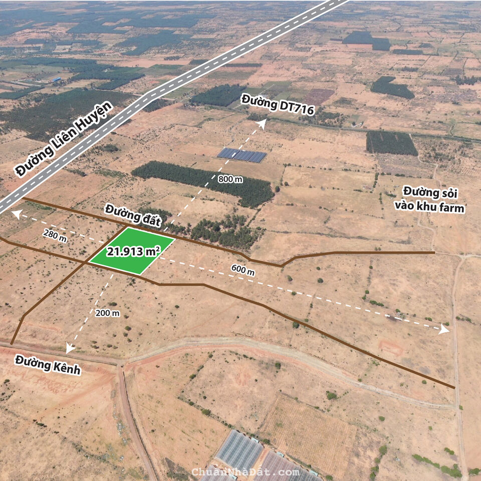 Bán đất trồng cây 21913m2, sổ đỏ,3 mặt tiền,Hoà Thắng,Bắc Bình,Bình Thuận 