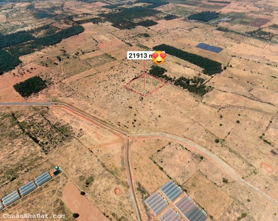 Bán đất trồng cây 21913m2, sổ đỏ,3 mặt tiền,Hoà Thắng,Bắc Bình,Bình Thuận 