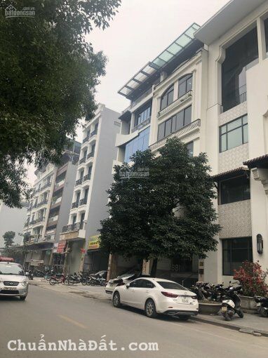 cần bán gấp Mảnh Đất đấu giá vị trí đẹp đường Trần Thái Tông Duy Tân Dịch Vọng Hậu Cầu Giấy dt 128 cần bán gấp Mảnh Đất đấu giá vị trí đẹp đường Trần Thái Tông Duy Tân Dịch Vọng Hậu Cầu Giấy dt 128