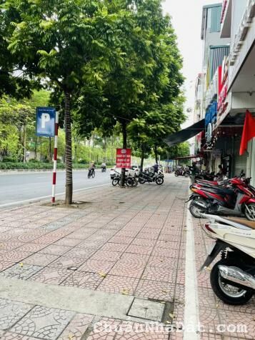 Bán Gấp Nhà Đất Mặt Phố Trương Công Giai, Trần Thái Tông, Trần Đăng Ninh, Thọ Tháp, DT 128 m2 56 tỷ Bán Gấp Nhà Đất Mặt Phố Trương Công Giai, Trần Thái Tông, Trần Đăng Ninh, Thọ Tháp, DT 128 m2 56 tỷ