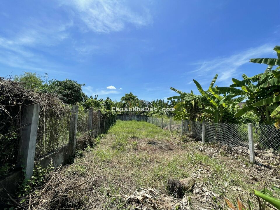 Bán đất Diên An Diên Khánh đất đẹp đường oto Qh full đất ODT 