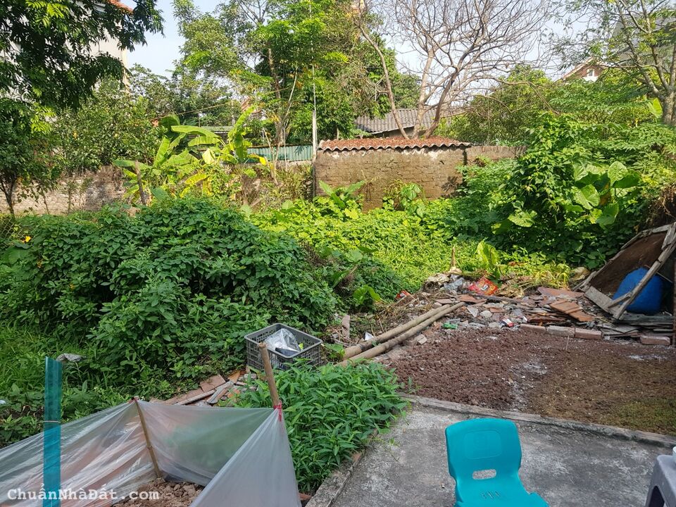 Bán đất tt Như Quỳnh giá siêu rẻ chỉ 13.4tr/m2. LH 0339799574