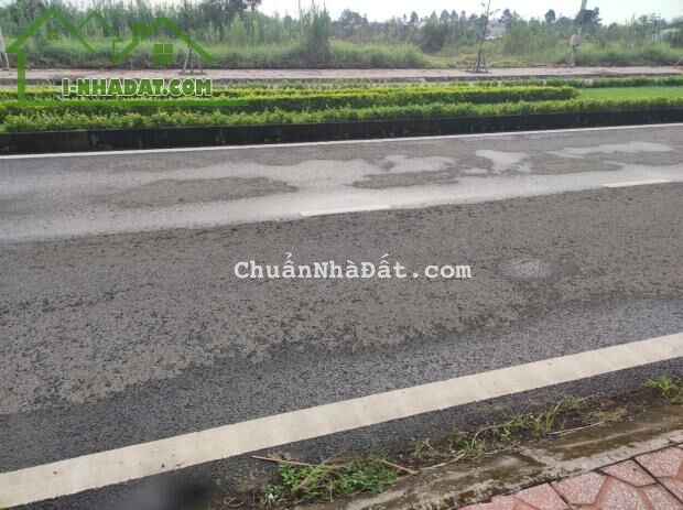 Cần tiền bán gấp đất nền ngay mặt tiền tại Cái Tắc 