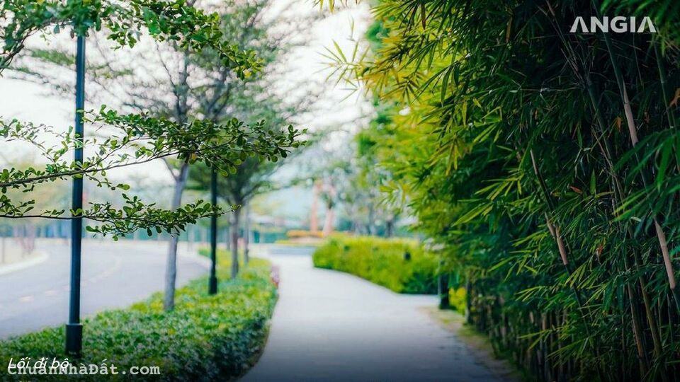 Nhà Phố Liền kề trong khu Resort tại Tân Uyên Bình Dương 